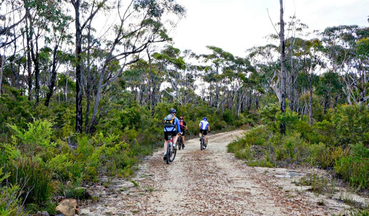 Woodford - Oaks trail, Blue Mountains National Park. Photo: Steve Alton/NSW Government
