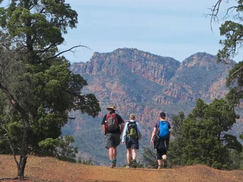 Walking the Flinders Ranges - Guided Bushwalks