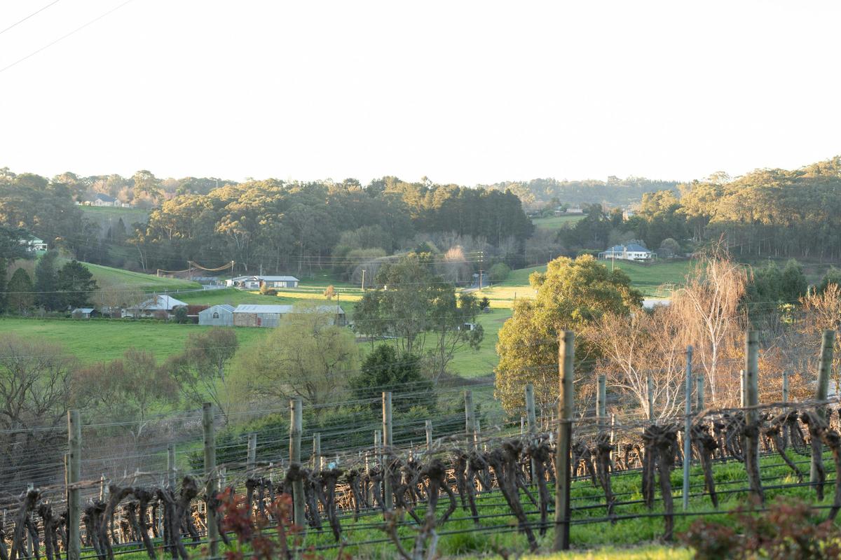 View from the house
