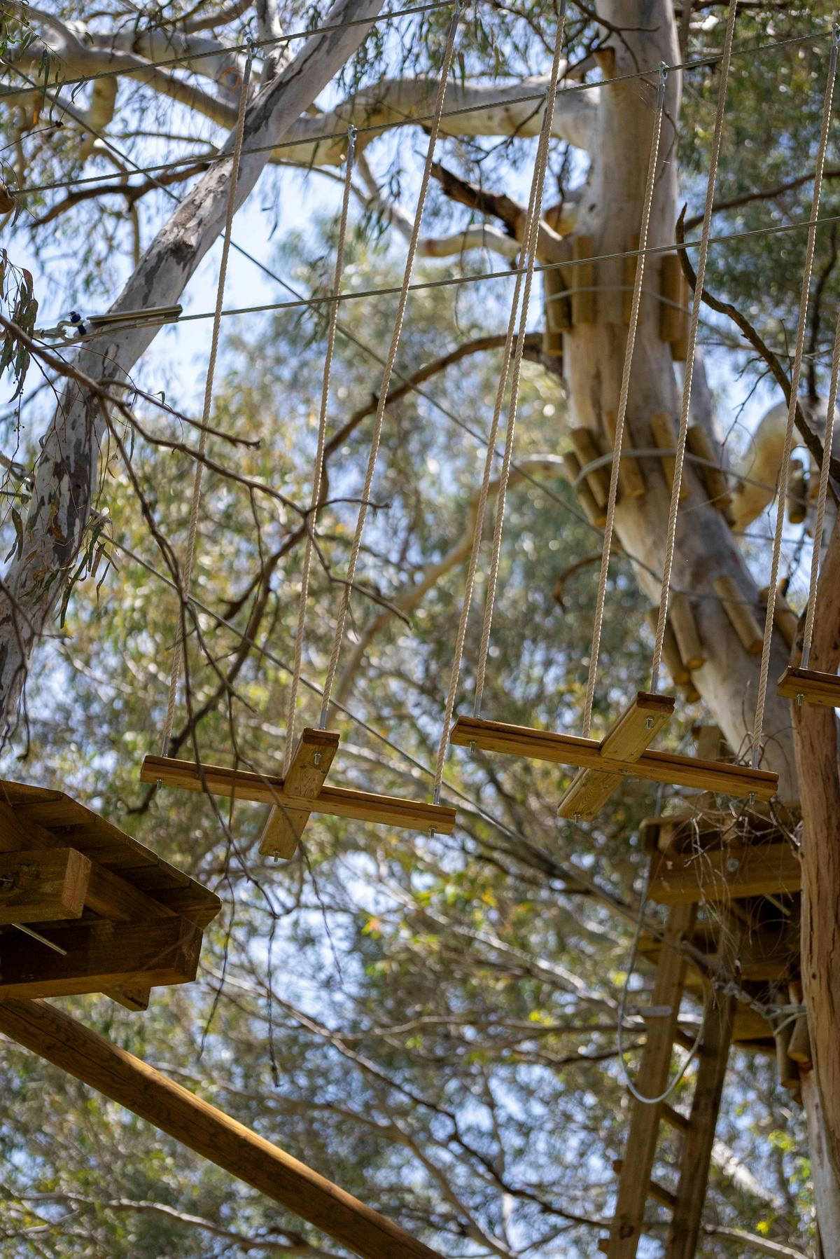 TreeClimb Salisbury opening December 2024