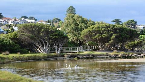 The Hindmarsh River Walking Trail