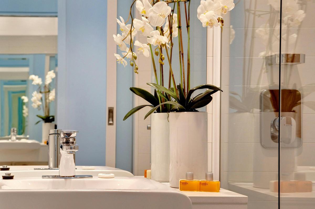 Deluxe Studio Bathroom