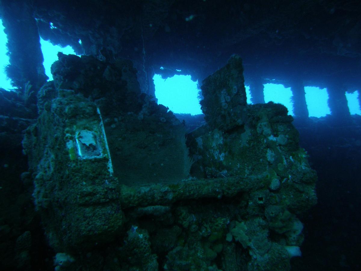 Boat Charter - Scuba Diving Tour