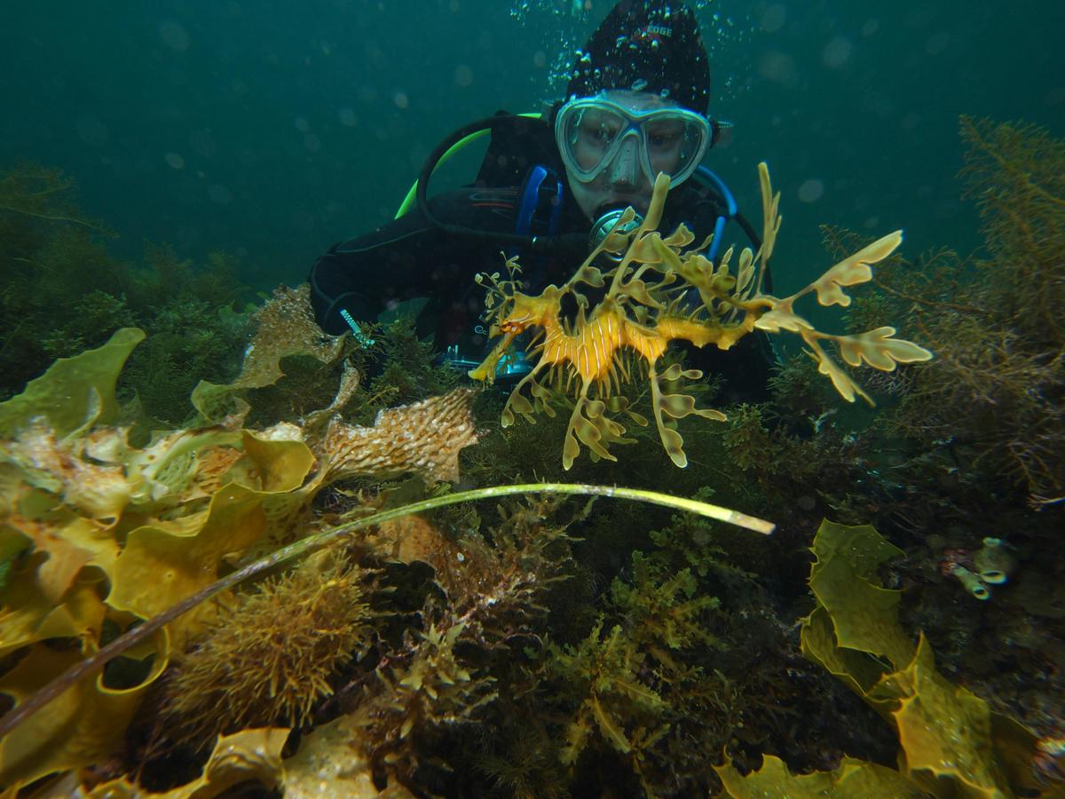 Boat Charter - Scuba Diving Tour