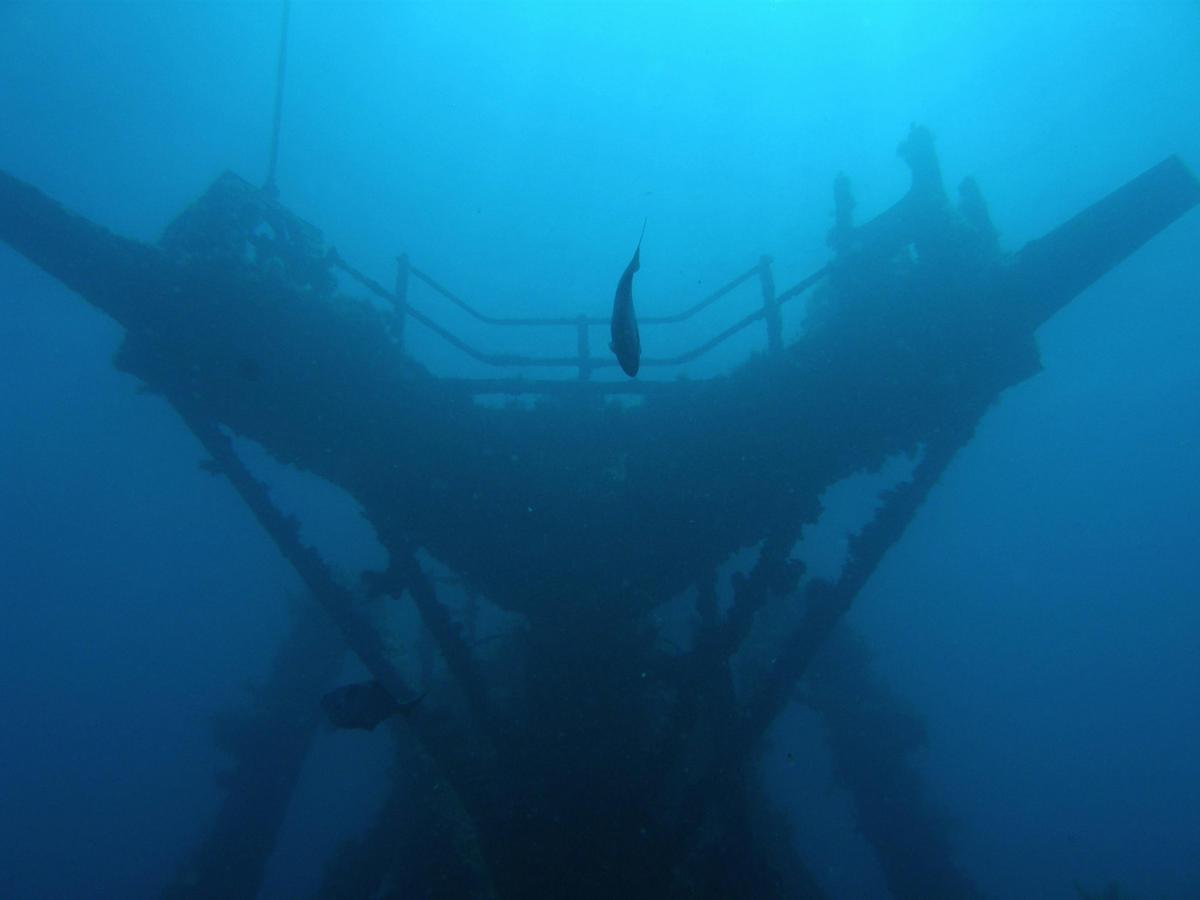 Boat Charter - Scuba Diving Tour