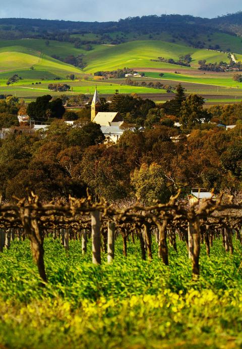 TrailHopper Tours - Barossa