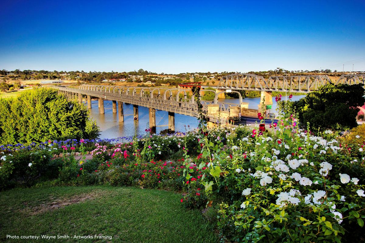 Spectacular views of the bridges at Murray Bridge
