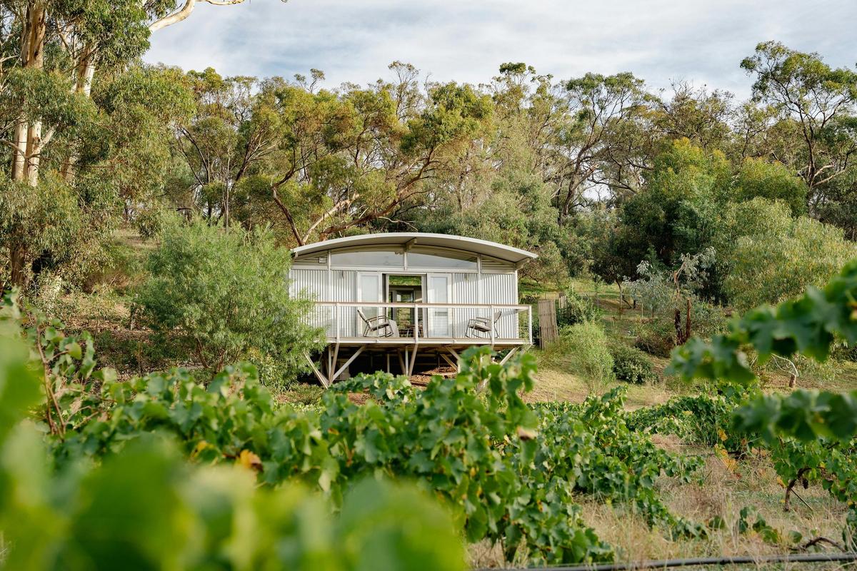 The Villas - Barossa beautiful vineyard retreat in an Australian bush setting