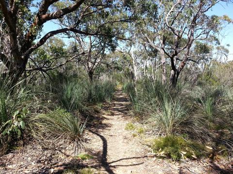 Warren Conservation Park
