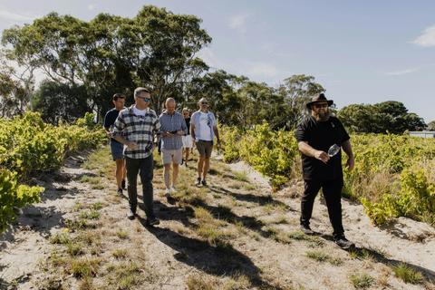 Vanguardist Wines