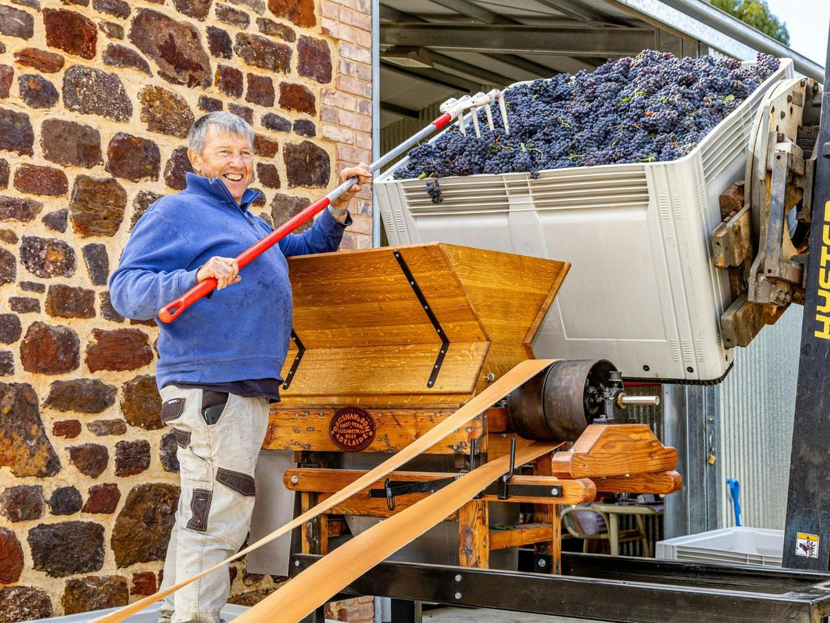David pressing the old vine Shiraz