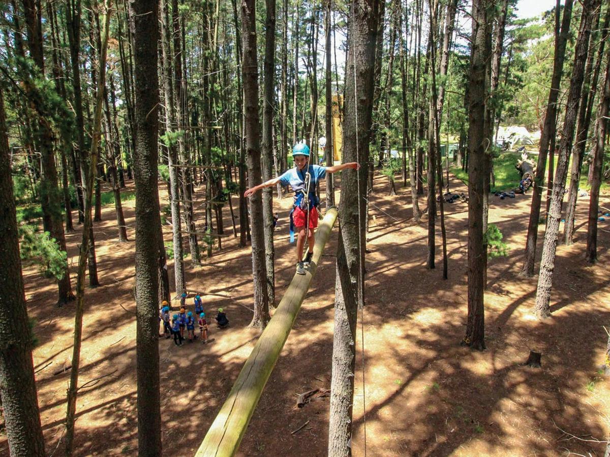 Go Wild at MLAH - School Holiday