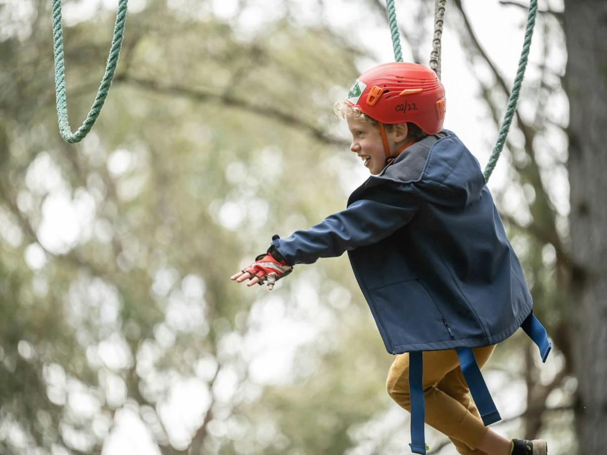 Go Wild at SAH - School Holiday