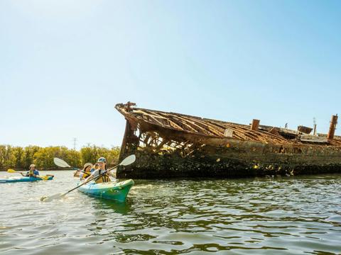 Mighty Yowies Dolphin and Ship Wreck Kayak Adventure - School Holiday