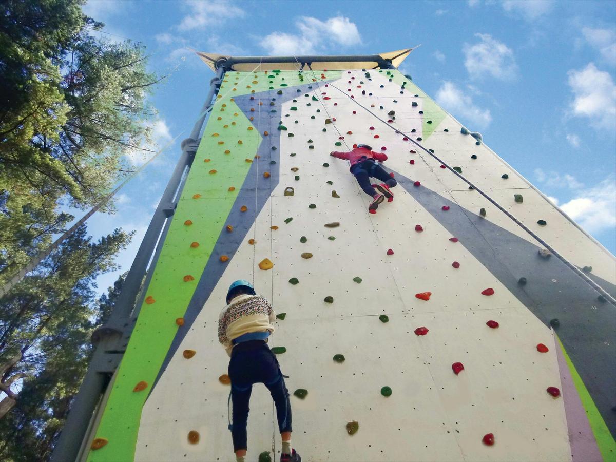 Go Wild at MLAH - School Holiday