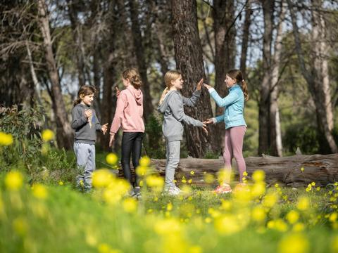 Forest, Smores and Explore - School Holiday
