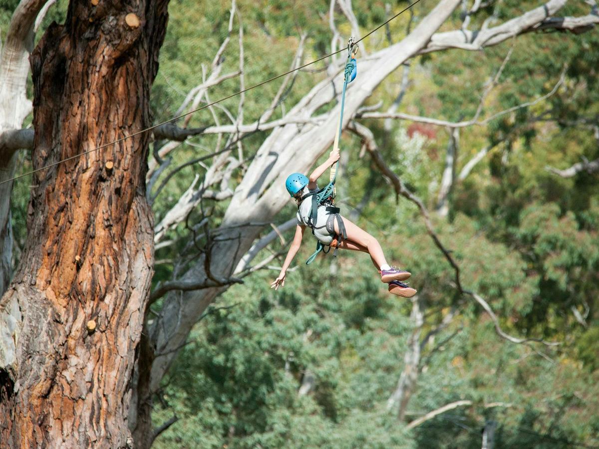 Go Wild at MLAH - School Holiday