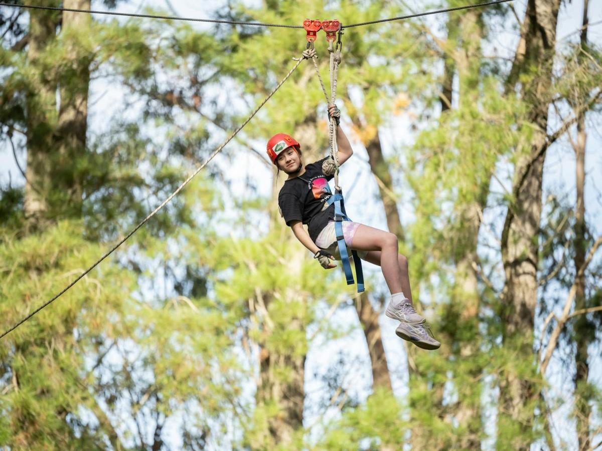 Go Wild at SAH - School Holiday
