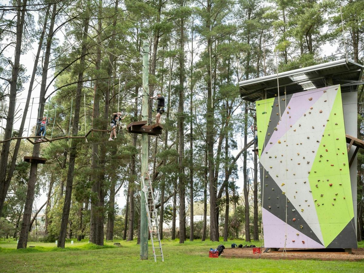 Go Wild at SAH - School Holiday