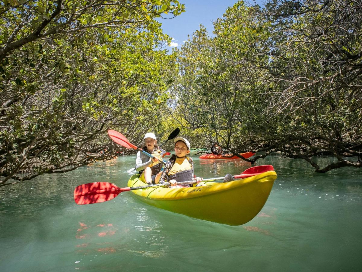 Little Bunyips Dolphin Sanctuary Kayaking Adventure - School Holiday