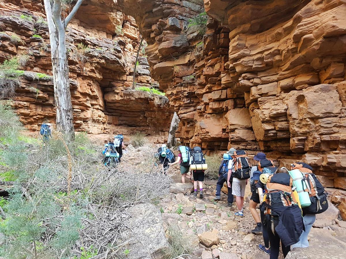 Bush Walking to Campsites