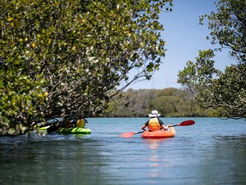 Mighty Yowies Dolphin and Ship Wreck Kayak Adventure - School Holiday