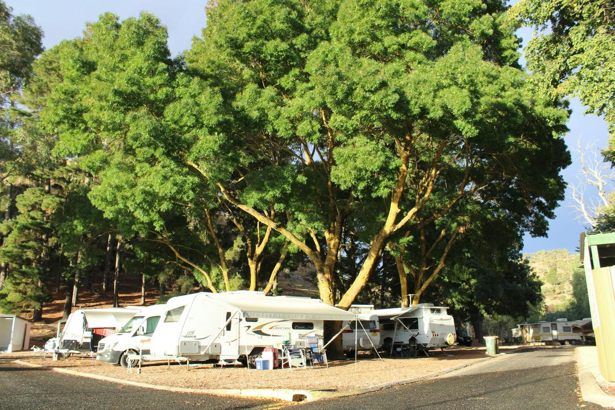 Our island sites overlooking the oval