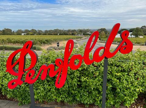 Adelaide Hills Wine Tour Including Penfold's Magill Estate Heritage Tour