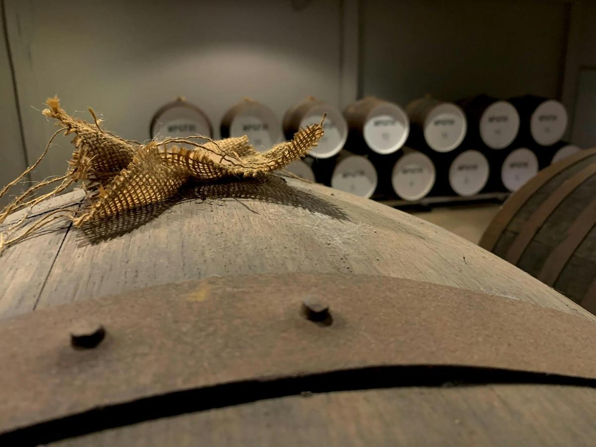 McLaren Vale Tour