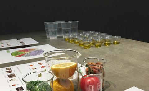 Extra Virgin Olive Oil Masterclass