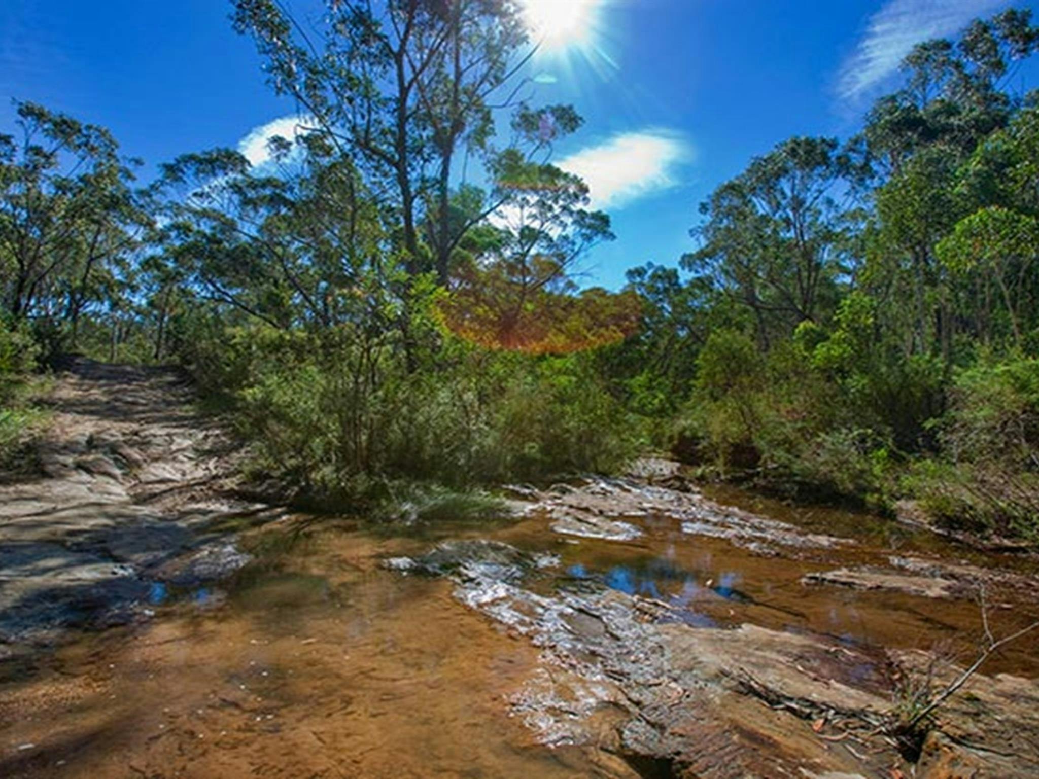 Bargo State Conservation Area. Photo: Nick Cubbin &copy; DPIE