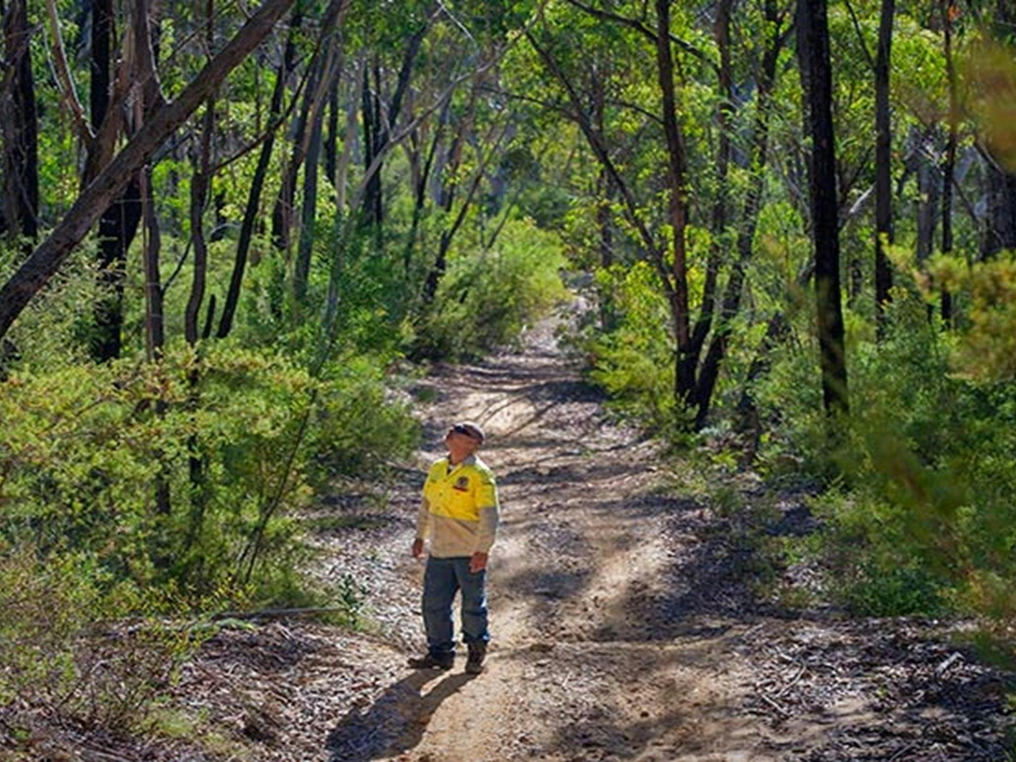 Bargo State Conservation Area. Photo: Nick Cubbin &copy; DPIE