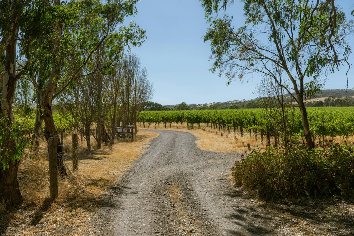 Mclaren Vale