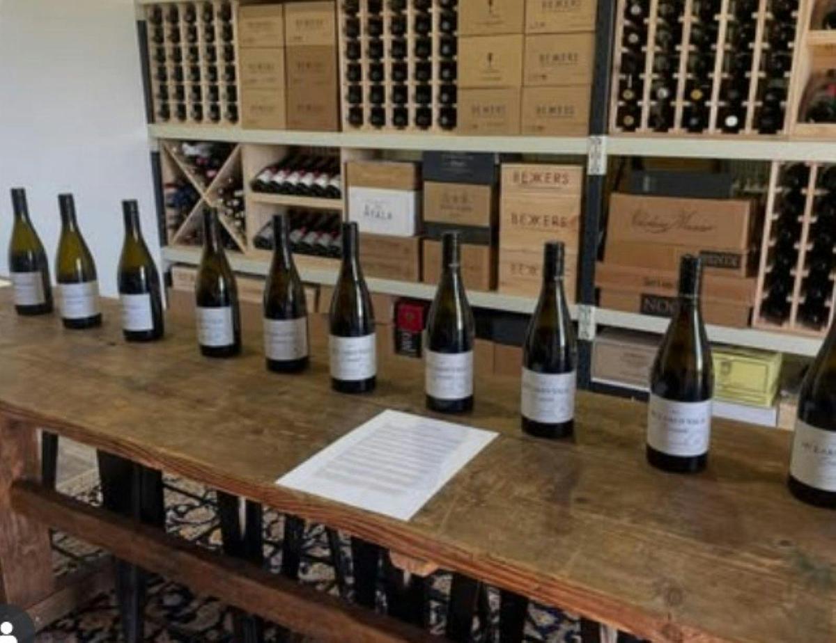 McLaren Vale Trails & Tasting Tales