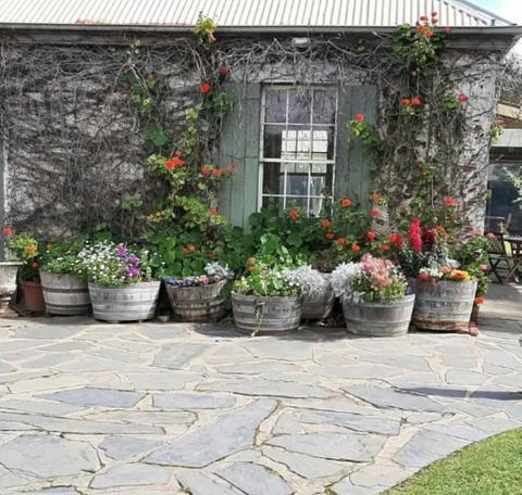 Sip, Explore, Repeat in McLaren Vale