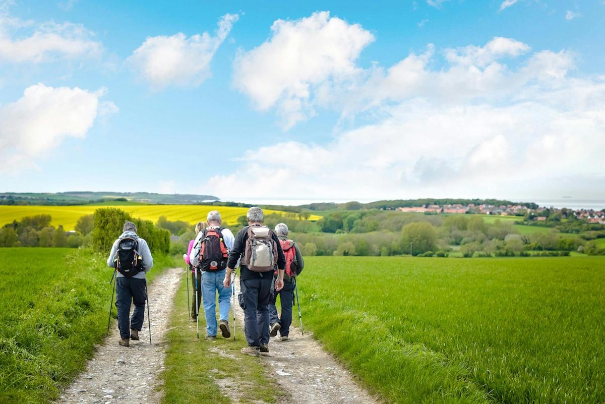 Eden Valley Walk, Picnic & Premium Henschke