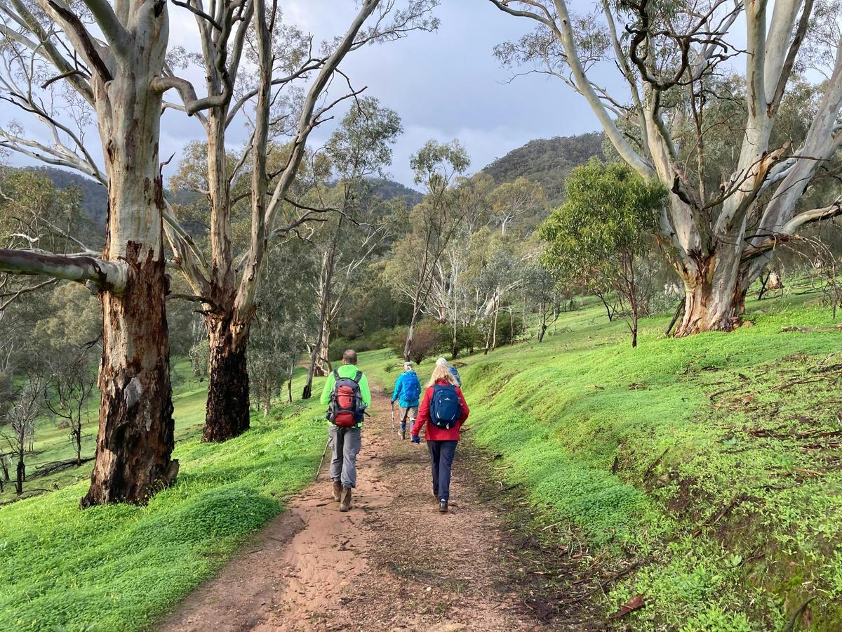 Heysen Trail – Tanunda to Kapunda - 2 day walk