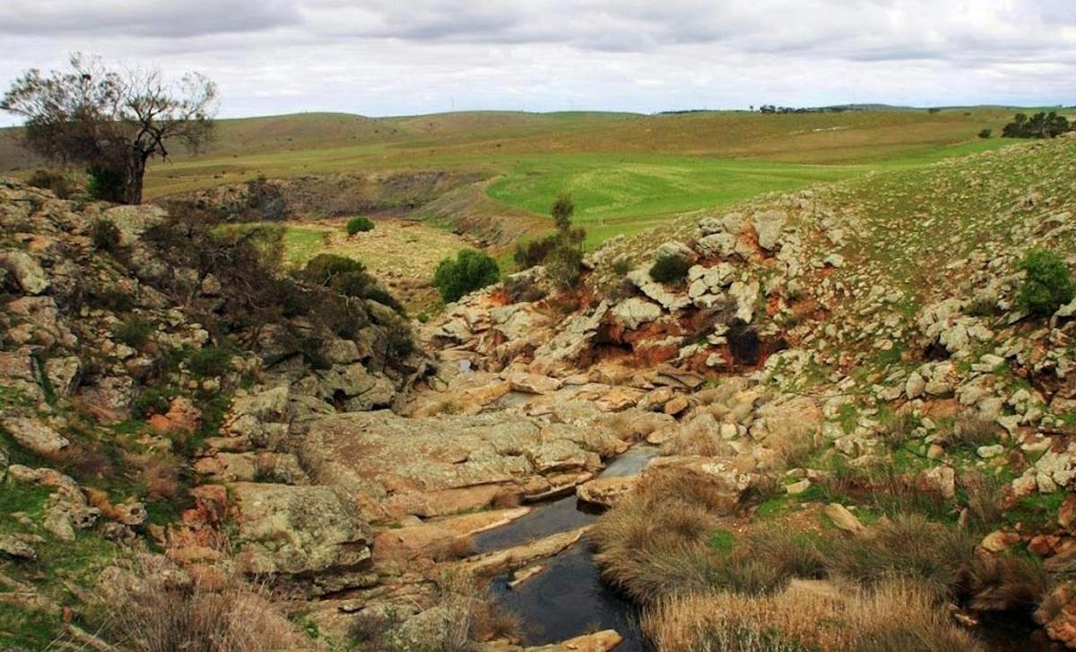 Eden Valley Walk, Wine & Cheese