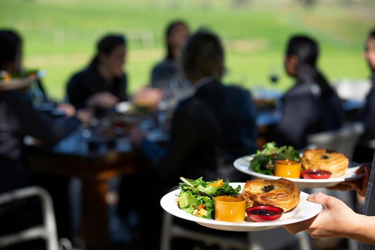 Barossa Valley - Steingarten Walk & Jacobs Creek Vineyard