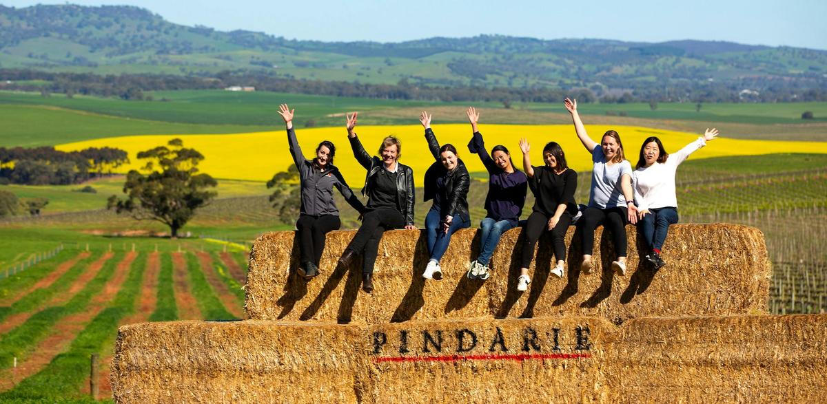 Barossa Valley - Steingarten Walk & Jacobs Creek Vineyard