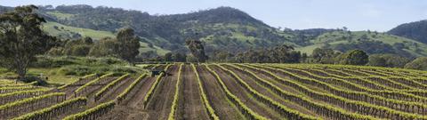 Eden Valley Walk, Wine & Cheese