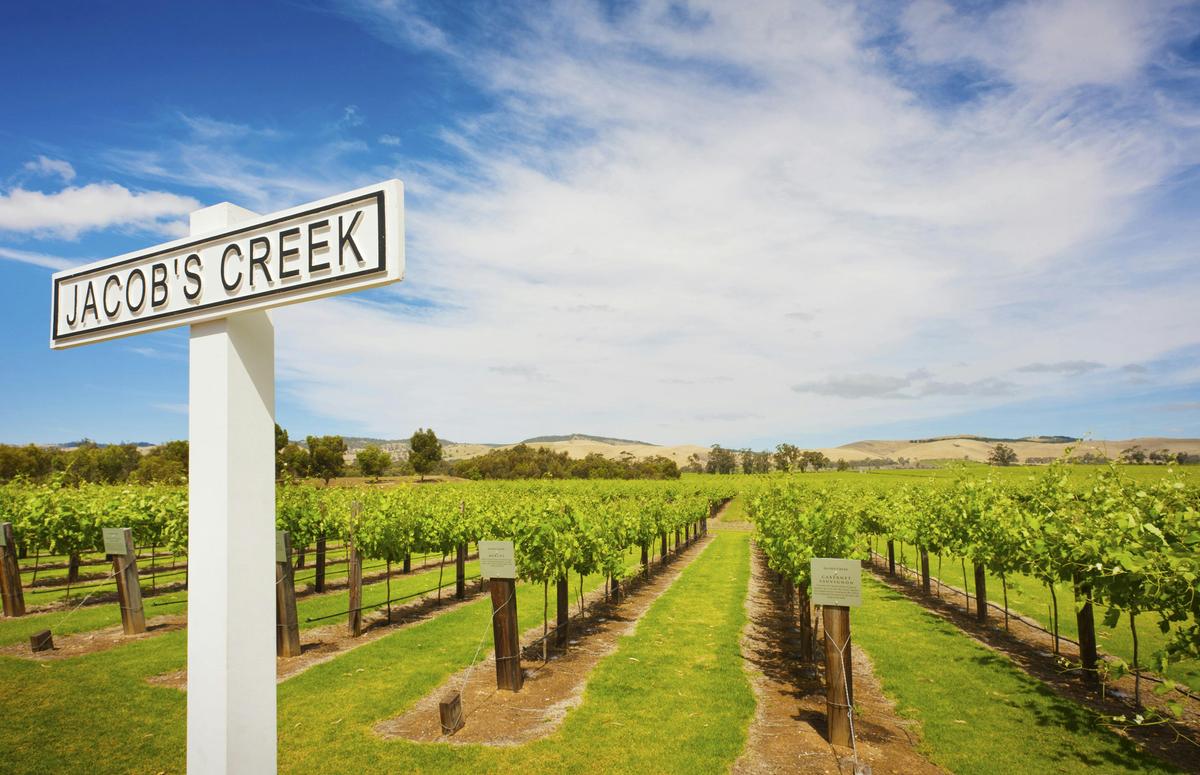 Jacobs Creek Winery