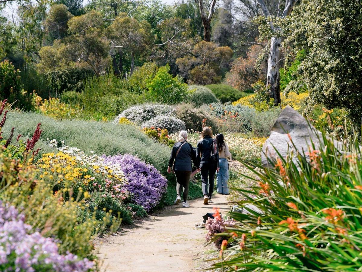 Colourful blooms in springtime