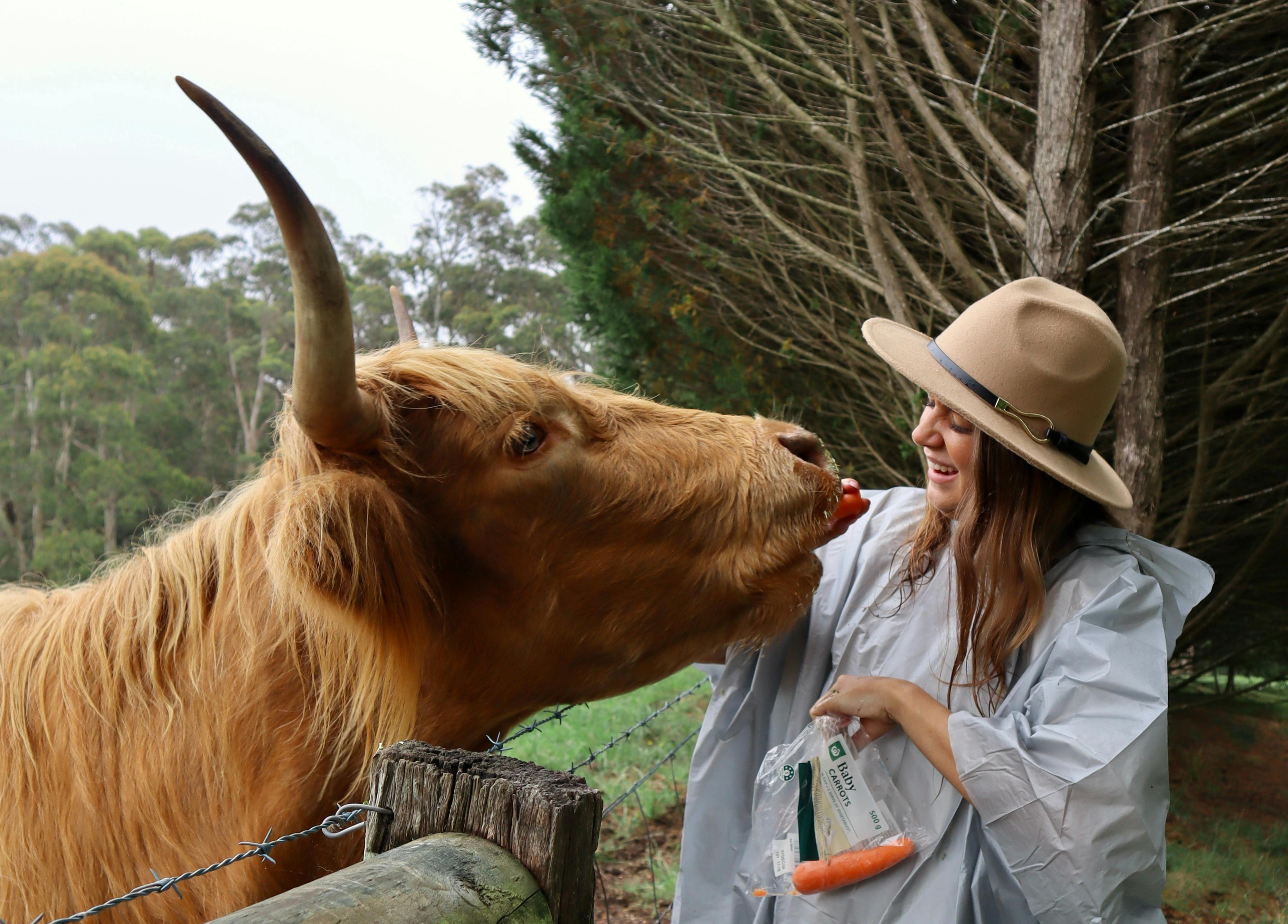 Animal Encounter & Farm Experience