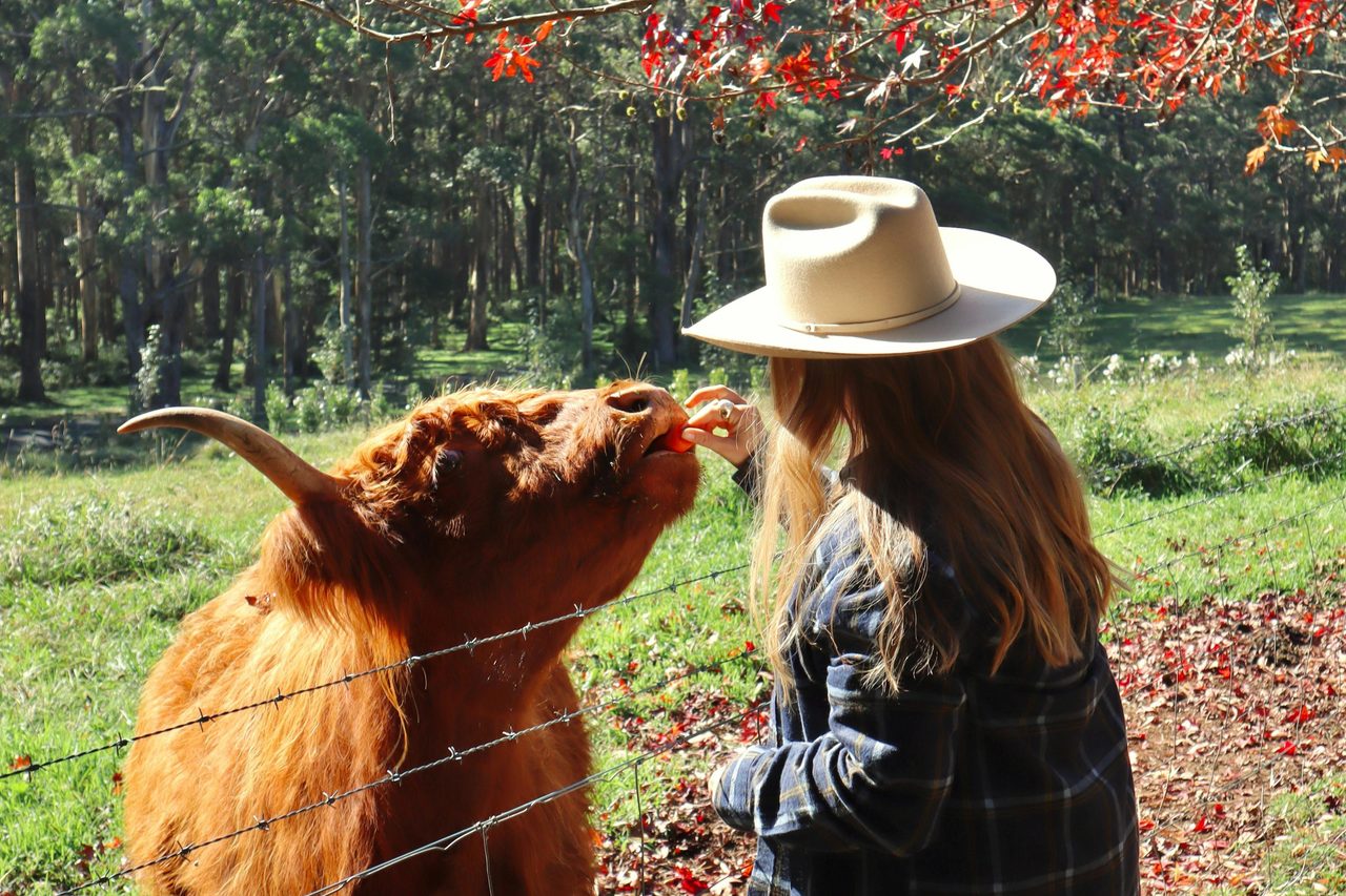 Animal Encounter & Farm Experience