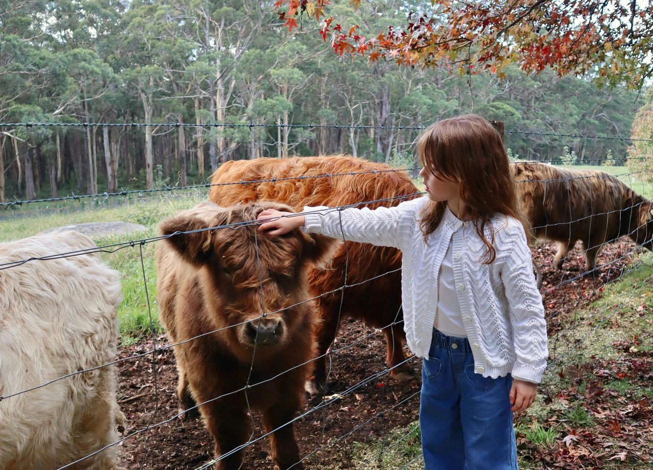 Animal Encounter & Farm Experience