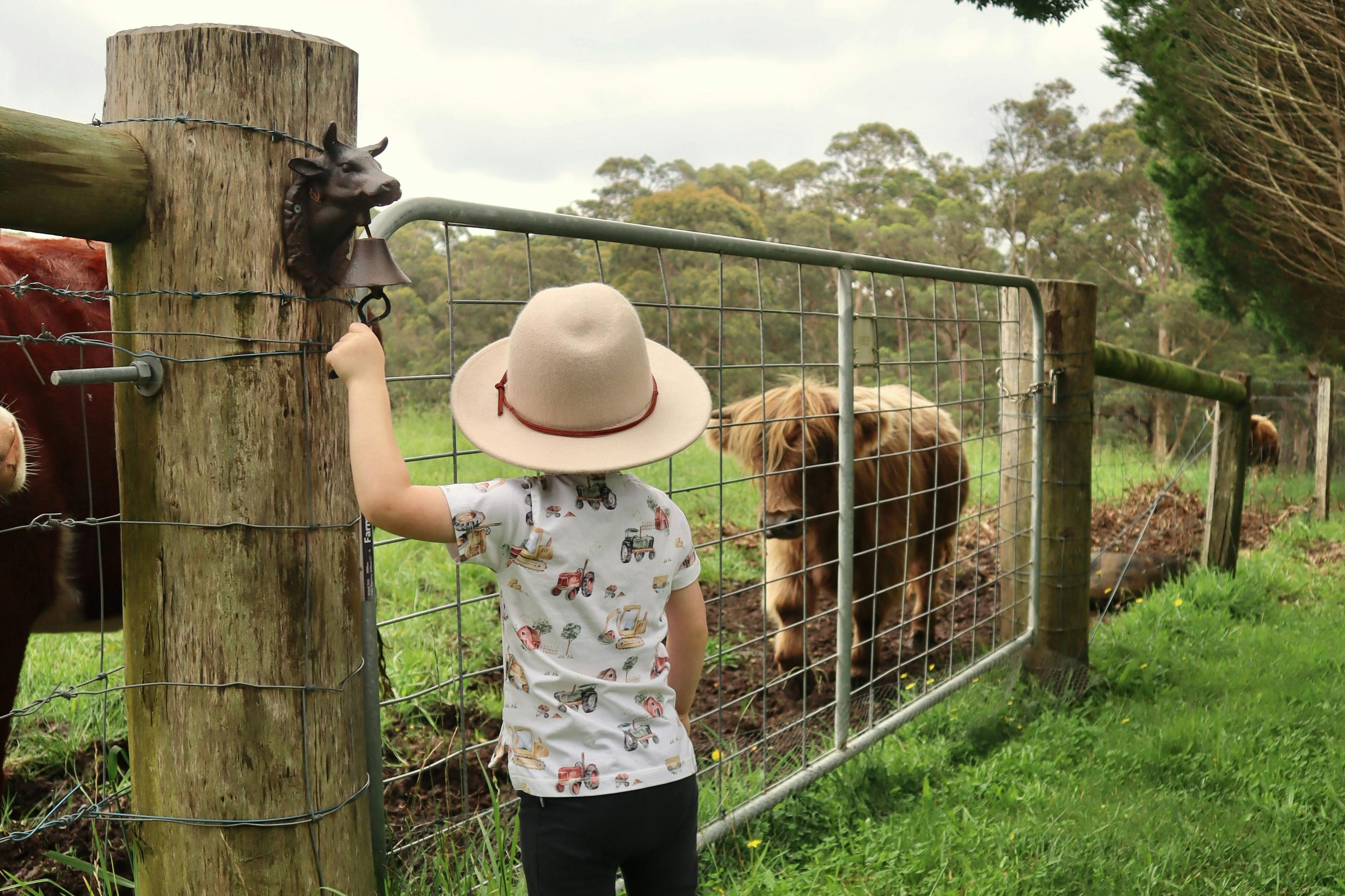 Animal Encounter & Farm Experience