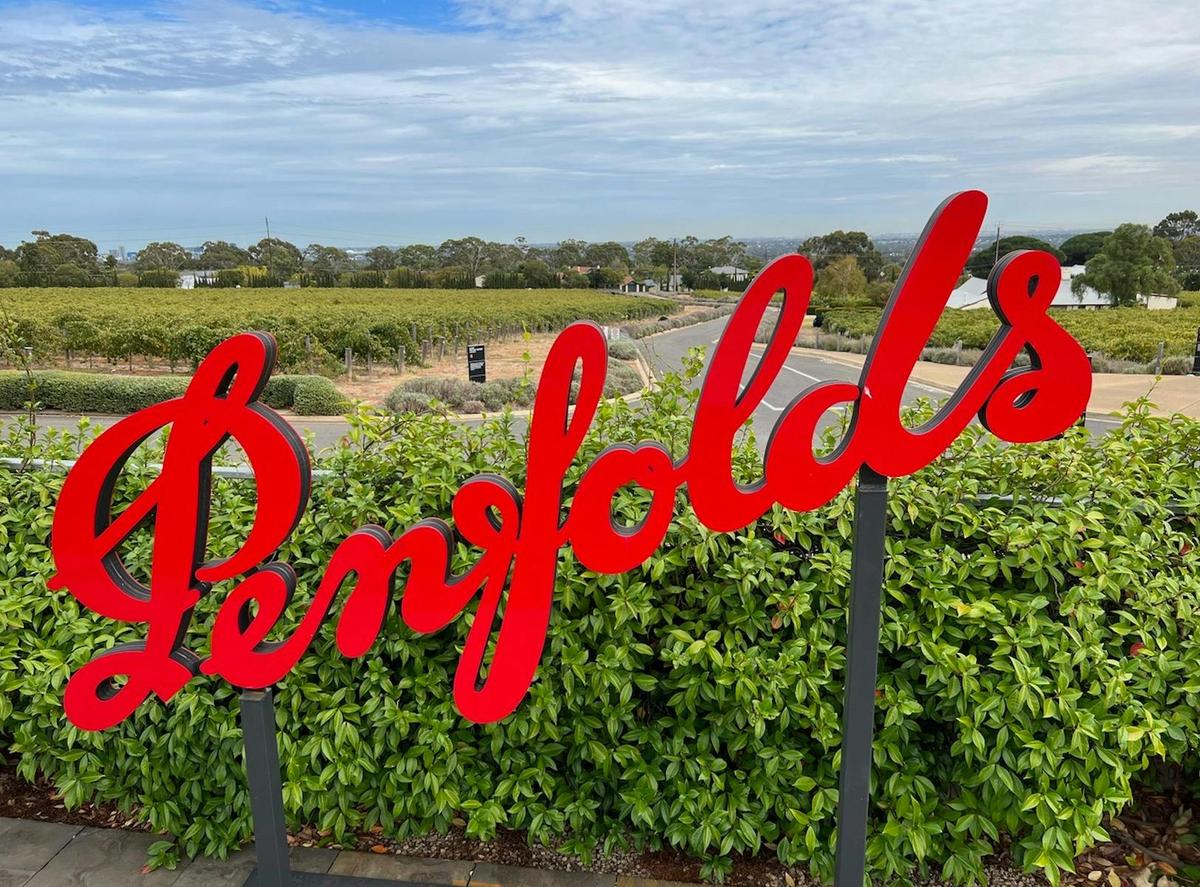 Penfolds Heritage Tour with Three Adelaide Hills Wineries