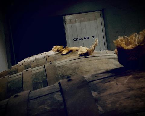 McLaren Vale Private Wine Tour with Four Wineries