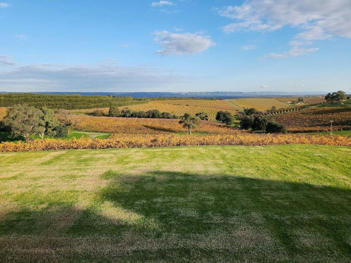 McLaren Vale Private Wine Tour